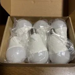 LOHAS LED電球 6個セット 本体