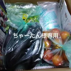 ちゃーたん様専用