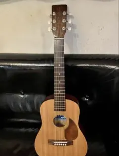 James JF400/NAT アコースティックギター ソフトケース ジェームス