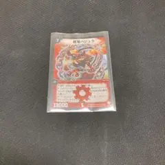 キャベツ様 リクエスト 2点 まとめ商品