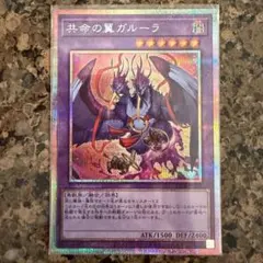 遊戯王 共鳴の翼ガルーラ プリズマ - メルカリ