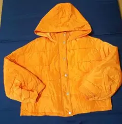 Item thumbnail for item bb02dcbc-49ee-4fdf-b8ed-f4cd5cf6b64c