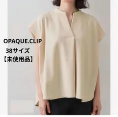 【未使用品】 オペークドットクリップ スキッパーフレンチスリーブトップス