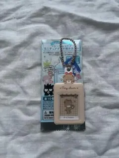 エンジョイアイドル シークレットミニチュアチェキ用ホルダー タイニーチャム