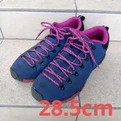 【希少カラー】NIKE AIR ARABAK アラバク 28.5cmのサムネイル