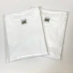G.T.HAWKINS メンズ Lサイズ 半袖 Tシャツ 2枚セット