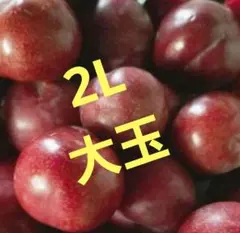 鹿児島県産無農薬すもも(イグリ)3のサムネイル