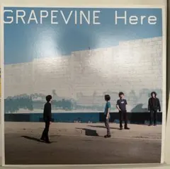 2026年最新】grapevine lpの人気アイテム - メルカリ