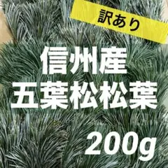 2026年最新】松の葉の人気アイテム - メルカリ