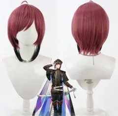 刀剣乱舞 刀剣男士 三郎国宗 さぶろうくにむね ウィッグ コスプレ衣装
