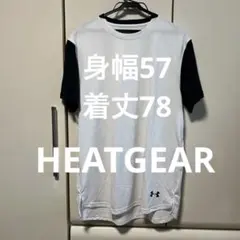 Item thumbnail for item 91a04ffc-f88c-4d30-979f-b11e2a9f275b