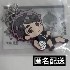 【最終値下げ】ハイキュー!! ラバーキーホルダー 宮治