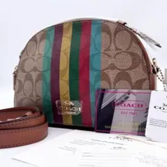 未使用✨コーチ セレナ ストライプ 2way ショルダーバッグ レザー