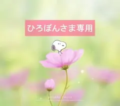 クロスステッチ完成品✰ヴェロニクアンジャンジェさん