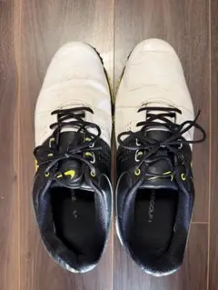 【値下げ】Nike ゴルフシューズ