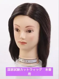 2025年最新】国家試験 カットウィッグの人気アイテム - メルカリ