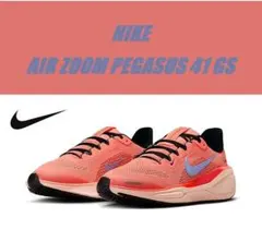 24㎝ ナイキ エア ズーム ペガサス 41 GS FN5041-600