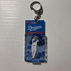 中日ドラゴンズ シークレットブリスタズ　8種類 中日ドラゴンズ ドアラ D25シークレットブリスタズ アクリル