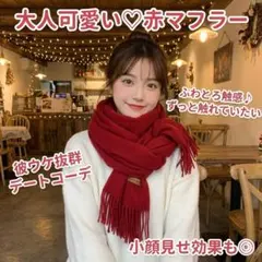 マフラー ストール 大判 カシミヤタッチ 冬 レディース メンズ レッド 赤