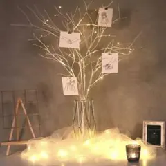 ウェルカムツリー+ライト