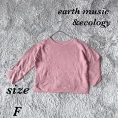 アースミュージックアンドエコロジー (F) 長袖ニット Vネック シンプルのサムネイル