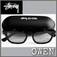 Stussy/サングラス/オーウェン/ブルー/OWEN/ケース付/ステューシー stussy(ステューシー) OWENサングラス ブラウン｜【公式】カインドオル