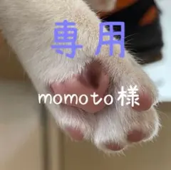 momoto様専用