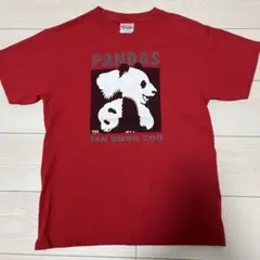 Hanes パンダ Tシャツ 赤 S