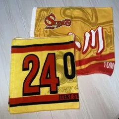 Item thumbnail for item 0d613f3c-664d-4379-ae0f-a1ea558a297e