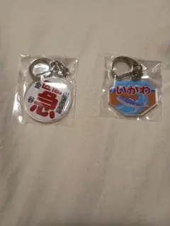 【パイナップル様専用】大井川鉄道　キーホルダーガチャ