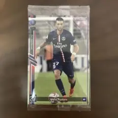 サネッティ、クレスポ アルゼンチン代表カードセット PANINI - メルカリ