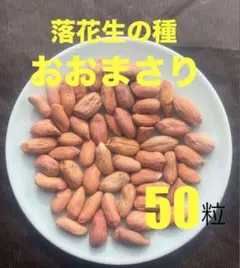 KT様 リクエスト 2点 まとめ商品