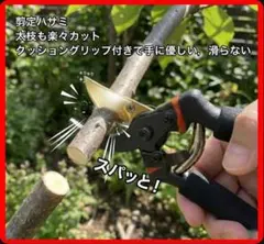 コロ様 専用　　剪定ハサミ クッショングリップ付き ロック機能