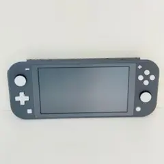 ニンテンドースイッチライト Nintendo Switch Lite グレー