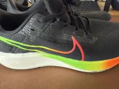 NIKE AIR zoom Pegasusエア ズーム ペガサス 38