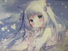 2026年最新】しらたまこ ブランケットの人気アイテム - メルカリ
