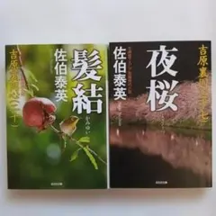 Item thumbnail for item c575f60e-da6c-443a-80c7-097f05c0da16