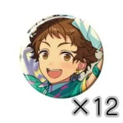 あんスタ 缶バッジ 天満光 12点セット 2025 APR idol