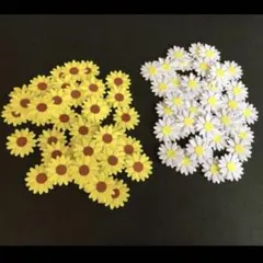 Item thumbnail for item 0832a9e5-1189-4fa7-82bc-3eace1149d9c