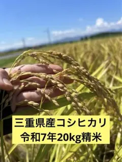 三重県産コシヒカリ 20kg 低農薬、有機肥料 - メルカリ