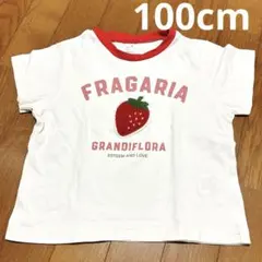 アプレレクール　Tシャツ　半袖トップス　100cm