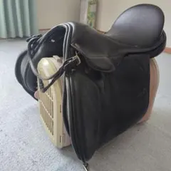 Item thumbnail for item 44de9465-557b-46ce-977e-853b8e887b59