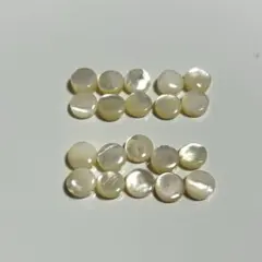 シェル ビーズ・アクセサリー