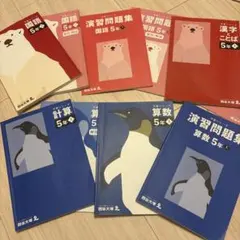 【ほぼ未使用】2024年度版 四谷大塚 予習シリーズ 5年【上】国語 算数