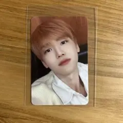 mernelジェミントレカ