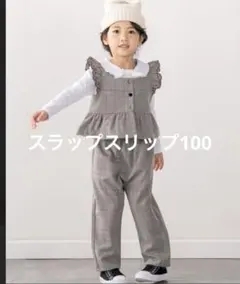 スラップスリップ　セットアップ　100