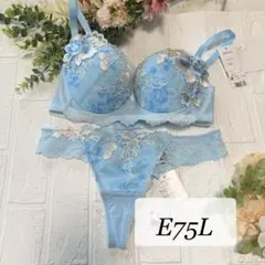 2026年最新】サルート91の人気アイテム - メルカリ