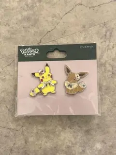ポケパークカントー限定 ピンズセット ピンバッジ イーブイ ピカチュウ
