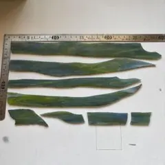 Item thumbnail for item 0cb55e9d-8d90-4ec1-8178-01010b9e4ae3