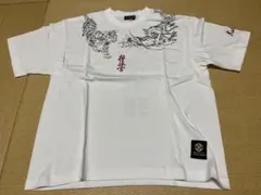 Item thumbnail for item a50b726d-718c-41d0-9e90-2ebeef2a8602